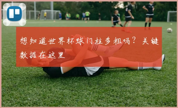 想知道世界杯球门柱多粗吗？关键数据在这里