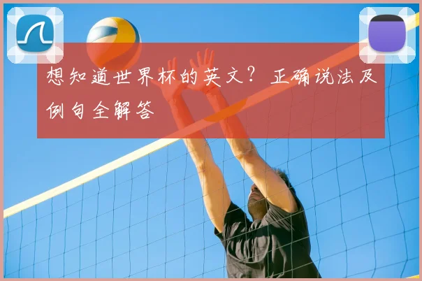 想知道世界杯的英文？正确说法及例句全解答