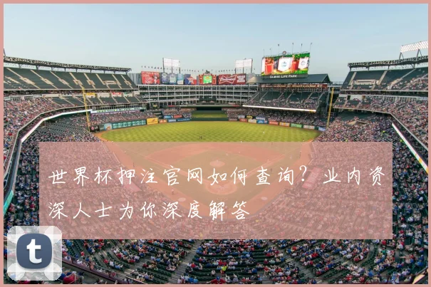 世界杯押注官网如何查询？业内资深人士为你深度解答