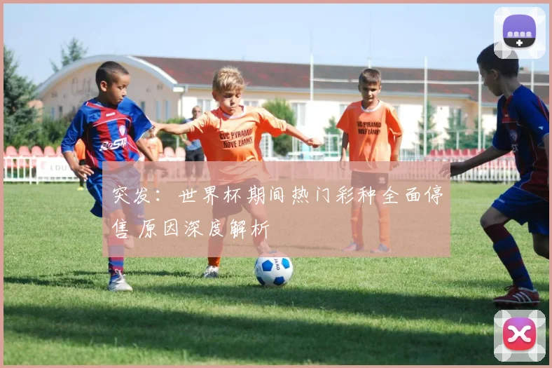 突发：世界杯期间热门彩种全面停售 原因深度解析