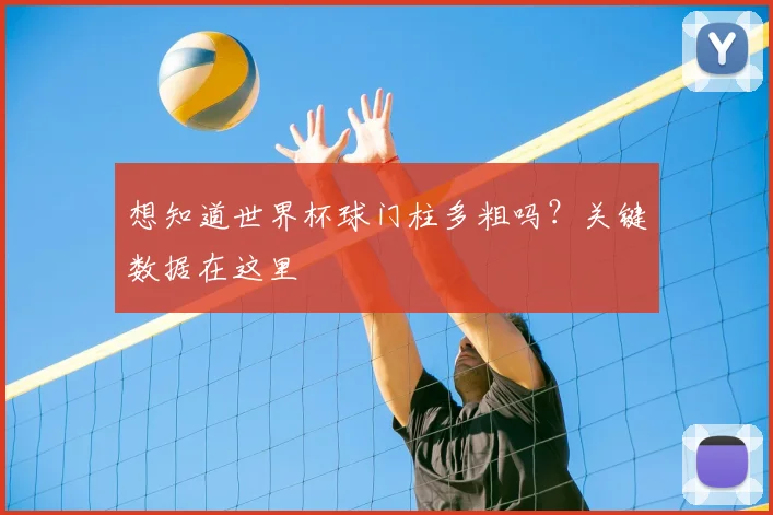 想知道世界杯球门柱多粗吗？关键数据在这里