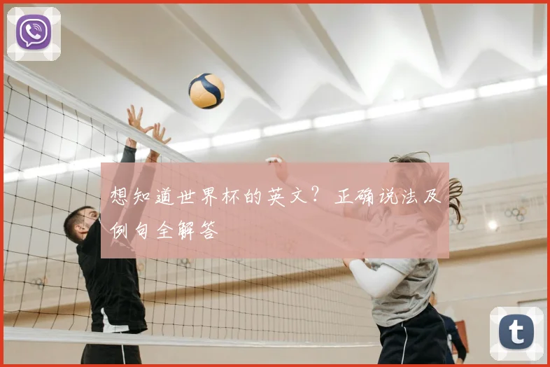 想知道世界杯的英文？正确说法及例句全解答