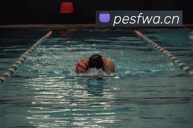 星空app网页登录入口平台生态图